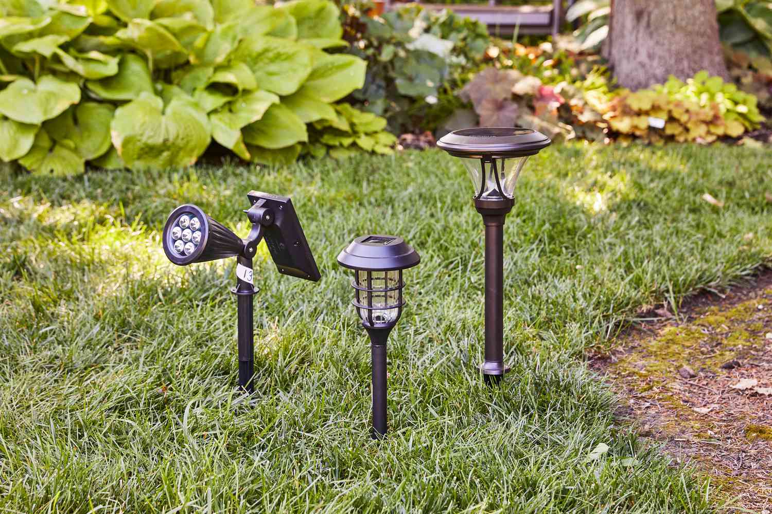 Glowing Green: Illuminating Your Life with the Latest Solar-Powered Lighting Gadgets